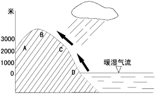 图中,a,b,c,d四处中降水量最多的是a.ab.bc.cd.
