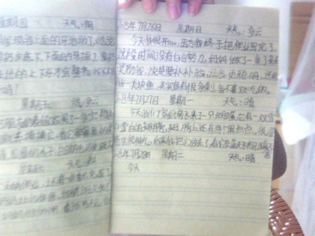语文暑假日记30篇50个字