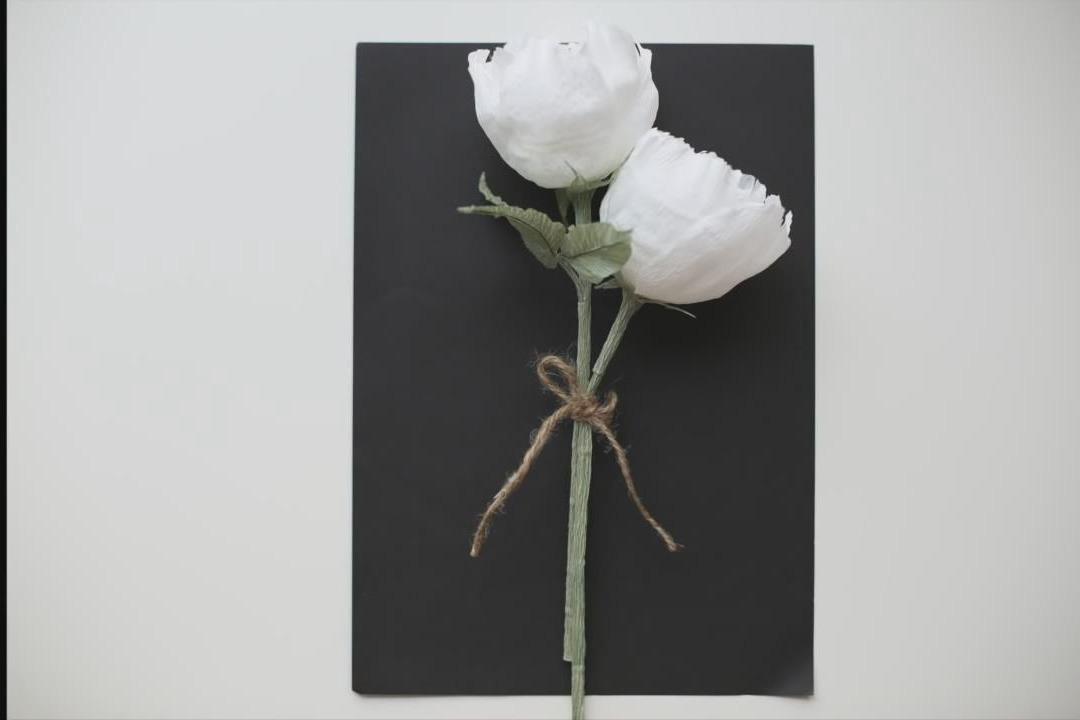 用皱纹纸制作白牡丹花教程