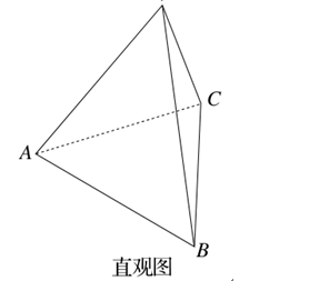 三棱锥v-abc的正视图和俯视图如图所示画出该三棱锥的侧视图和直观图