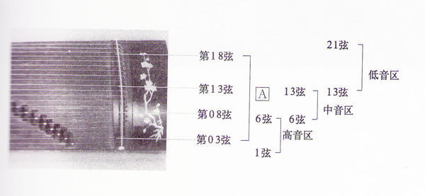 古筝的音位排列按五声音阶排列(12356),目前常用的21弦古筝标准定弦