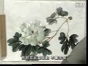 詹仁左 第5,6讲 白牡丹和勾勒牡丹画法