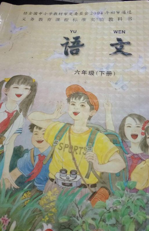 六年级下册语文课本封面作文