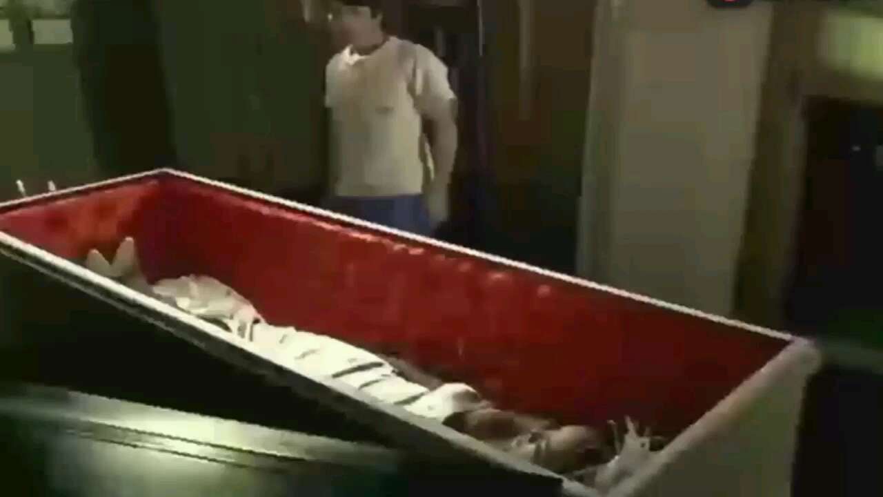 小伙子去殡仪馆兼职,无意间打开棺材发现死去了新娘惊讶了