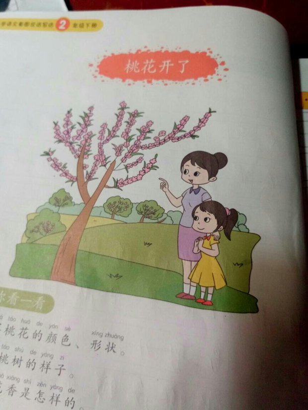 看图写话桃花开了