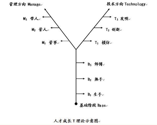 y理论的相关理论