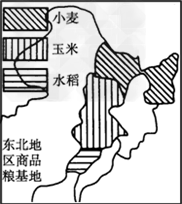 下图为"美国中部地区和中国东北地区农业分布示意图.读图回答问题.