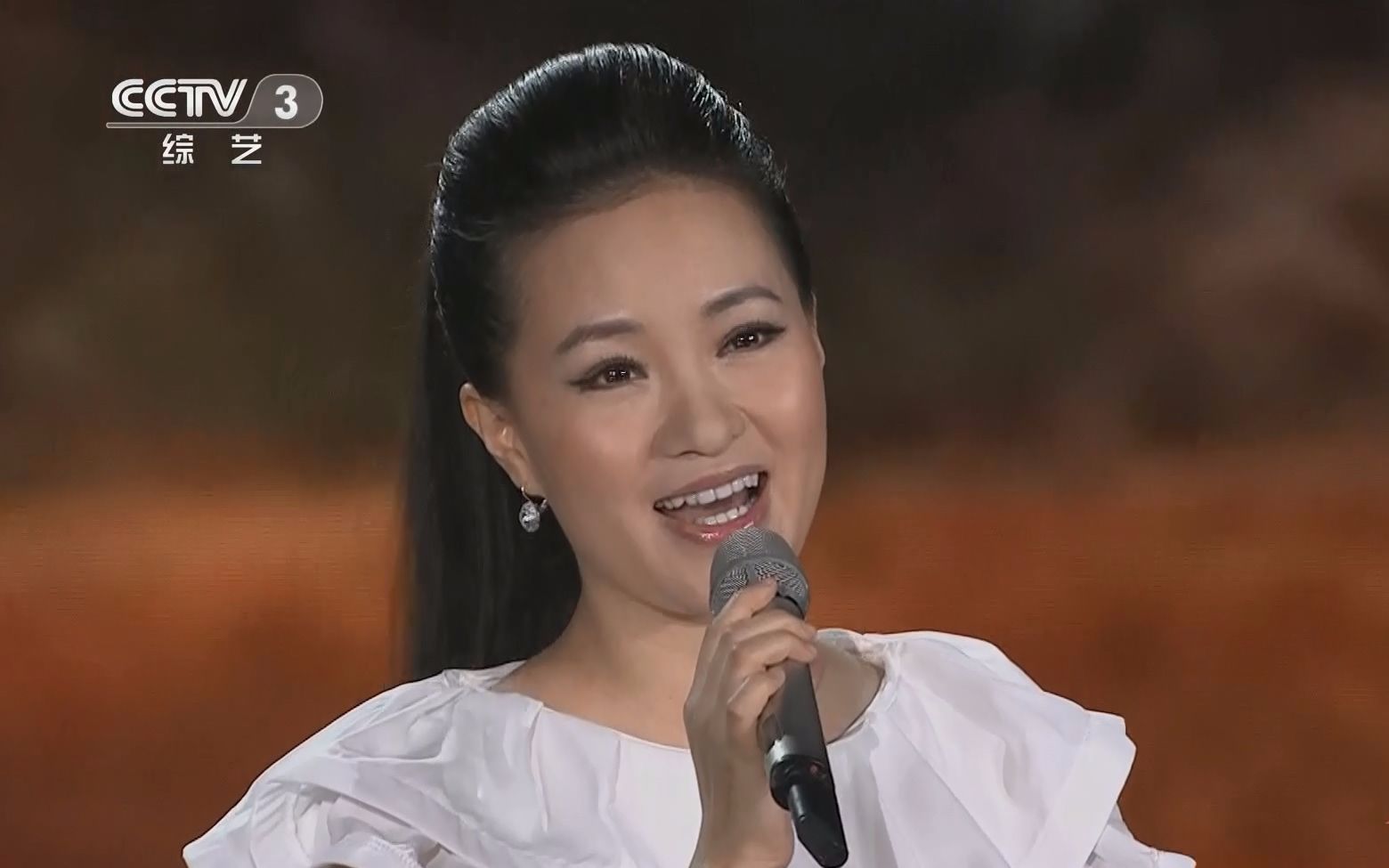 雷佳 阎维文 王丽达 蔡国庆 《想亲亲》 回声嘹亮20141206