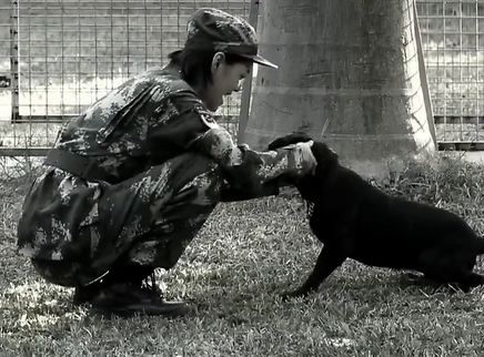 《奇兵神犬》花絮:吃太多的宝珠用脸刹车 吓坏杨朵兰