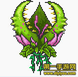 泰拉瑞亚世纪之花的两种攻击形态