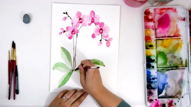如何绘制水彩兰花,清新优雅简单易学,水彩画初学者教程