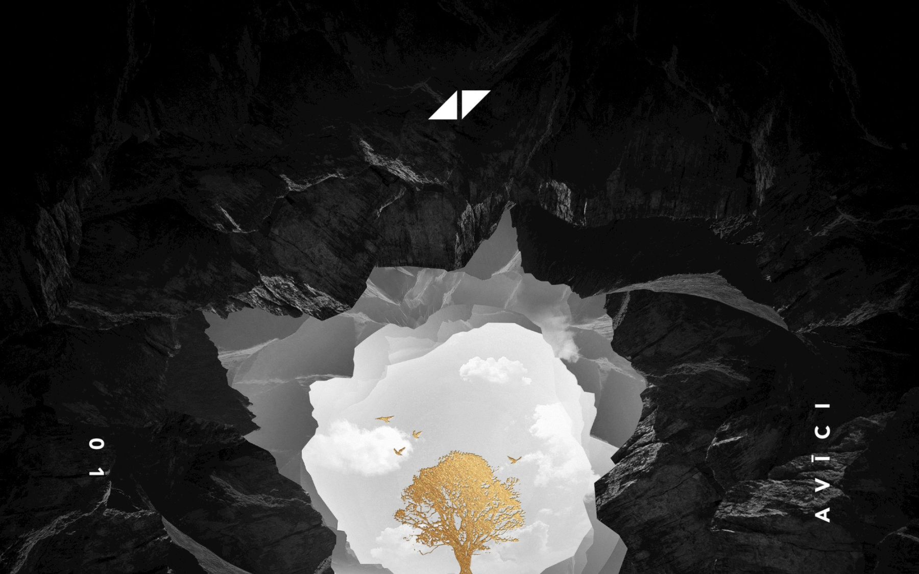 avicii - without you