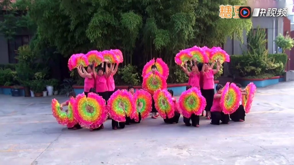 中老年广场舞欢快的健身扇子舞《走进新时代》