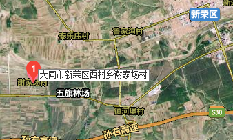 山西省大同市新荣区西村乡谢家场村卫星地图