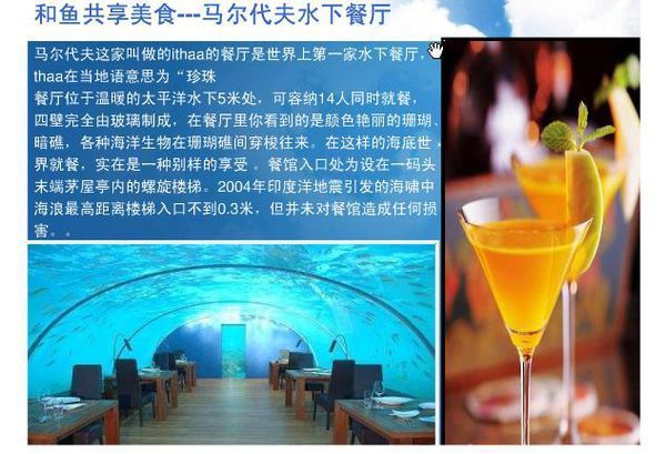 信息题目要我们弄一个PPT老师的v信息,壁虎是格式杰森美食家和图片