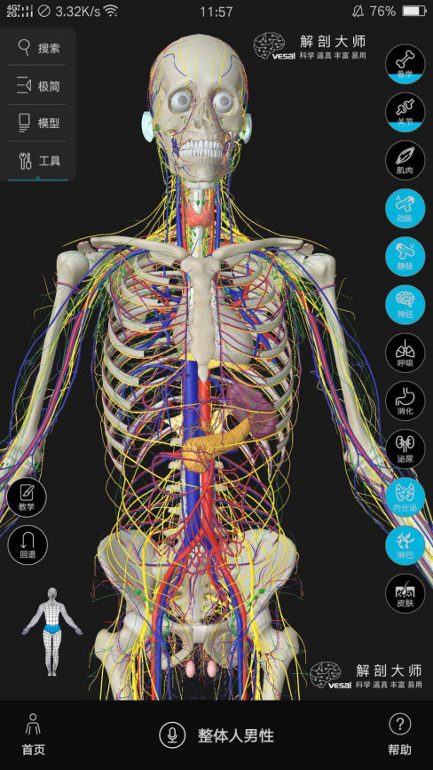人体解剖3d图网址