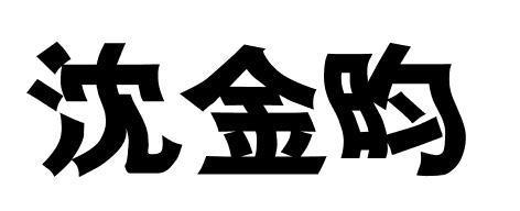 "沈金昀"这三个字用艺术字体怎么写