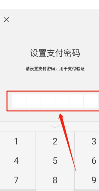 7,信息验证通过之后,提示输入钱包的支付密码(6位数字).