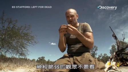 荒野求生: 德爷单挑荒野, 比贝爷还真实的求生纪录片