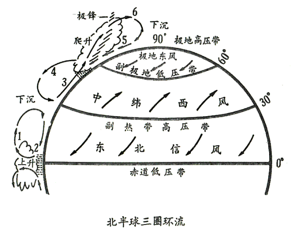 同理,南半球同样存在着低纬,中纬,高纬三个环流圈.