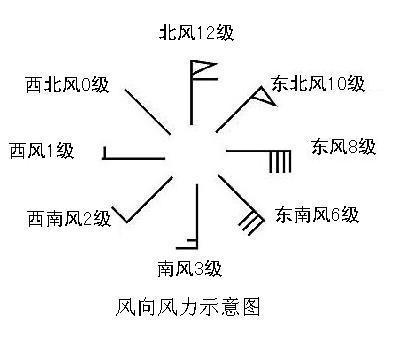 天气预报中各种天气的图标都是什么