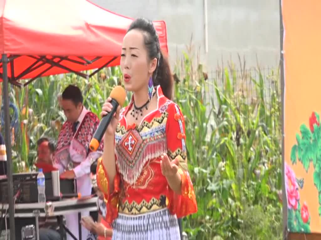 答谢"印山红"音乐工作室汇报演出09苗族花山节活动阿卯花山节