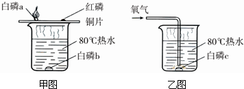 ①甲图铜片上的白磷能燃烧,红磷不能燃烧,由此现象能得出的结论是