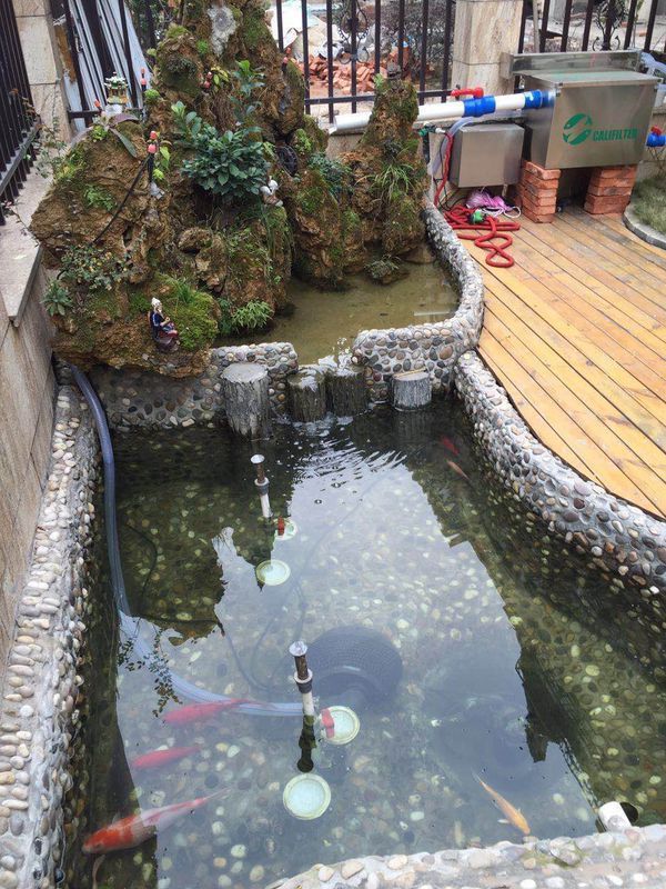 很喜欢古法养鱼,用塘泥和水草,怎样不混水?
