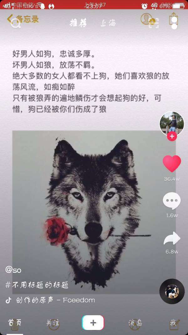 抖音狼嘴里叼着一朵花图片的背景音乐是什么?