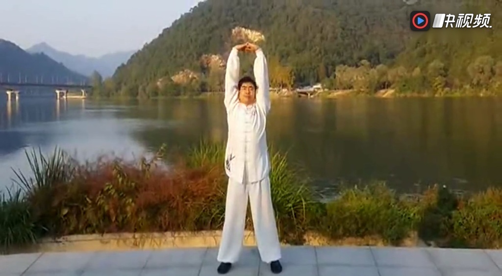 八段锦每一步教学视频图片