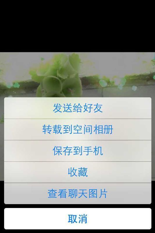苹果手机qq发来 的照片怎么保存到手机像册上