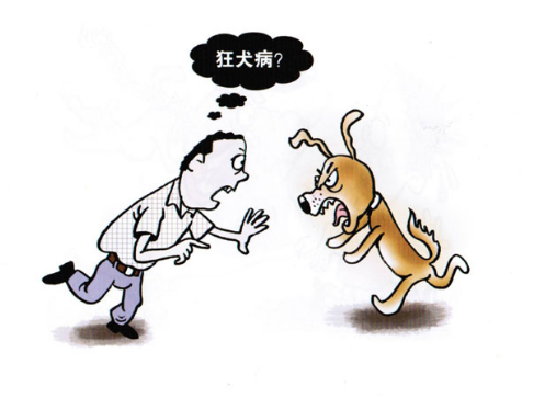 女子学狗叫是因为得了狂犬病吗?
