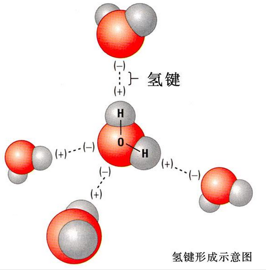 一个化学题目,水分子的键角是多少