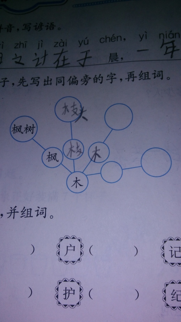 木字加偏旁?