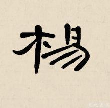 杨字用隶书怎么写