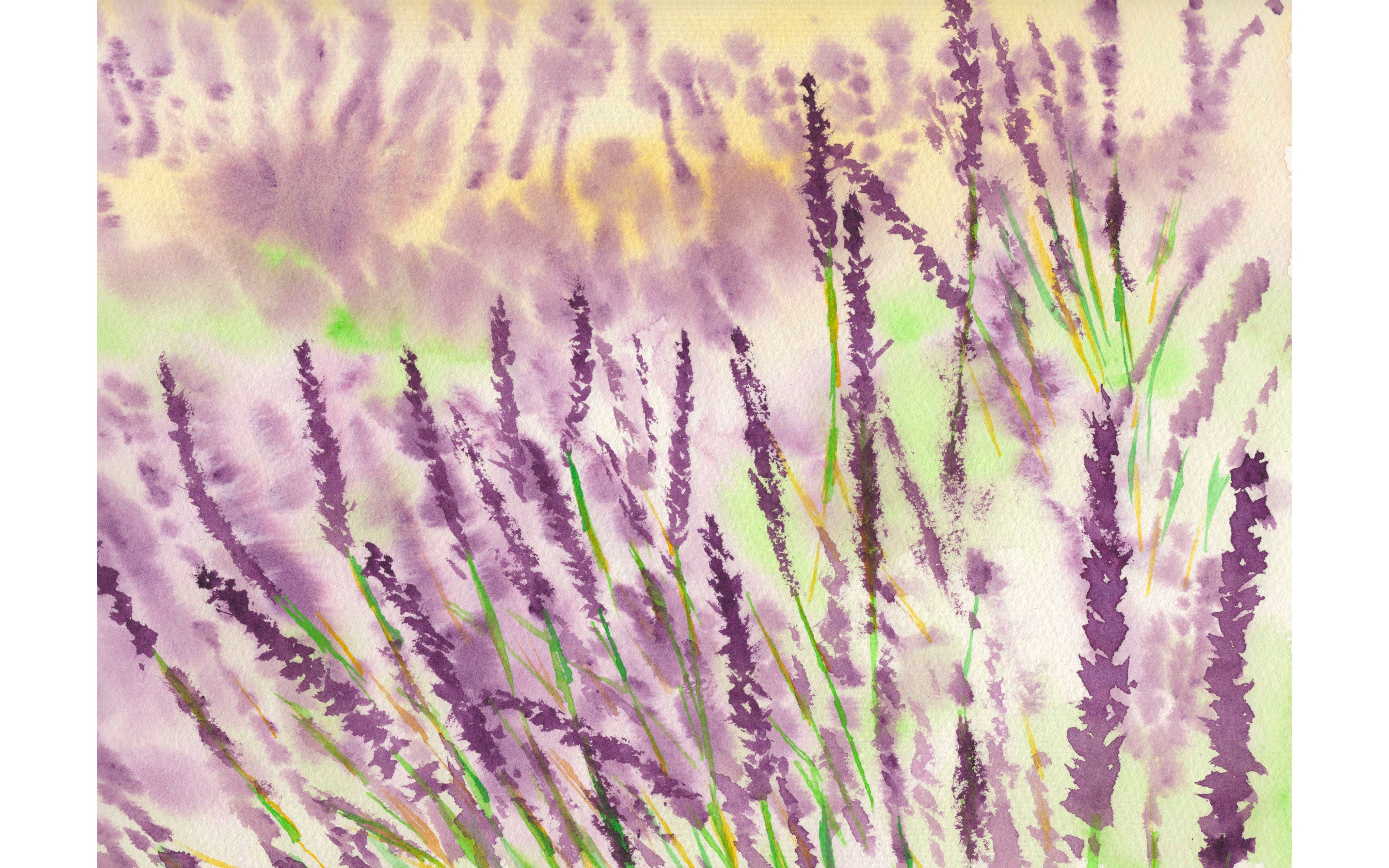 【杨帆水彩画】 薰衣草 简单水彩画新手教程