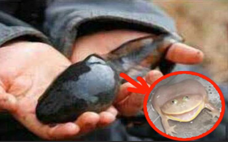 360影视-影视搜索