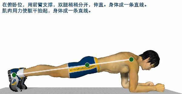 有效锻炼腹横肌的方法?