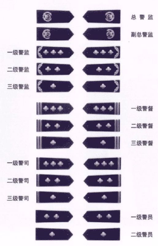 一级警监至二级警监;  4,厅(局)级副职:二级警监至三级警监;  5,处(局