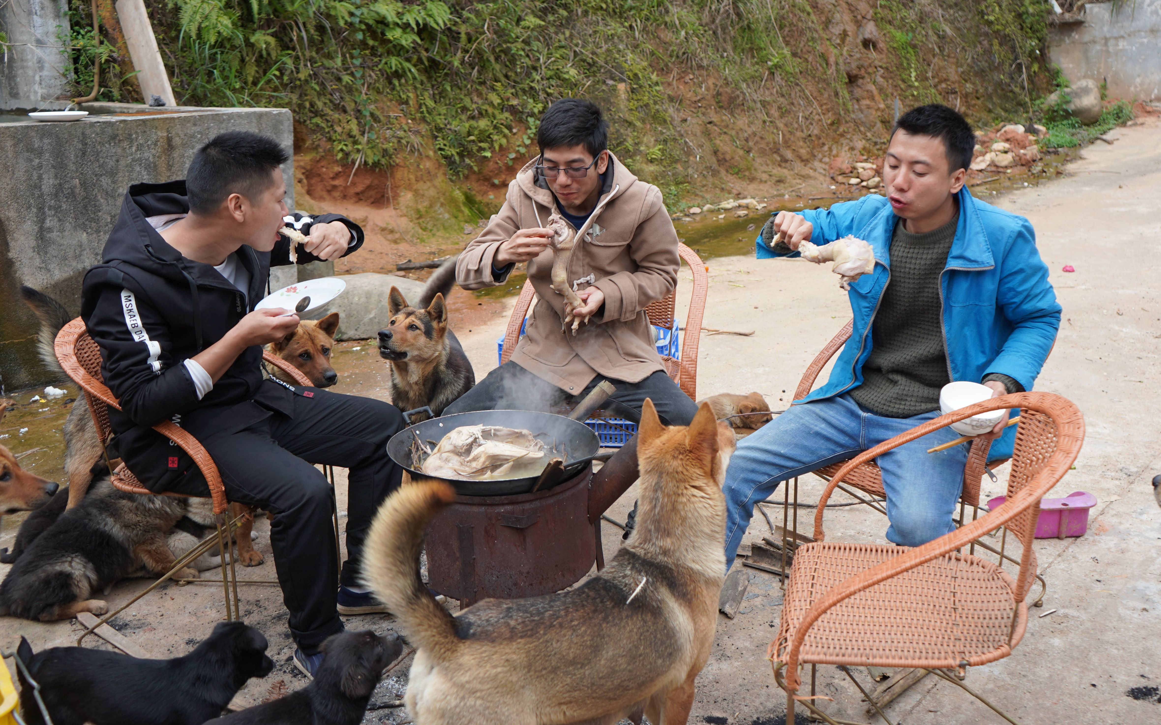 华农兄弟:看一下摄影小哥种的 铁皮石斛,顺便摘点来炖大公鸡