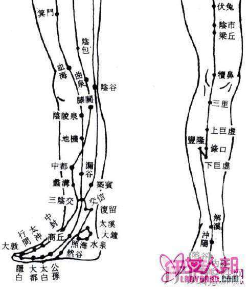 小腿穴位图