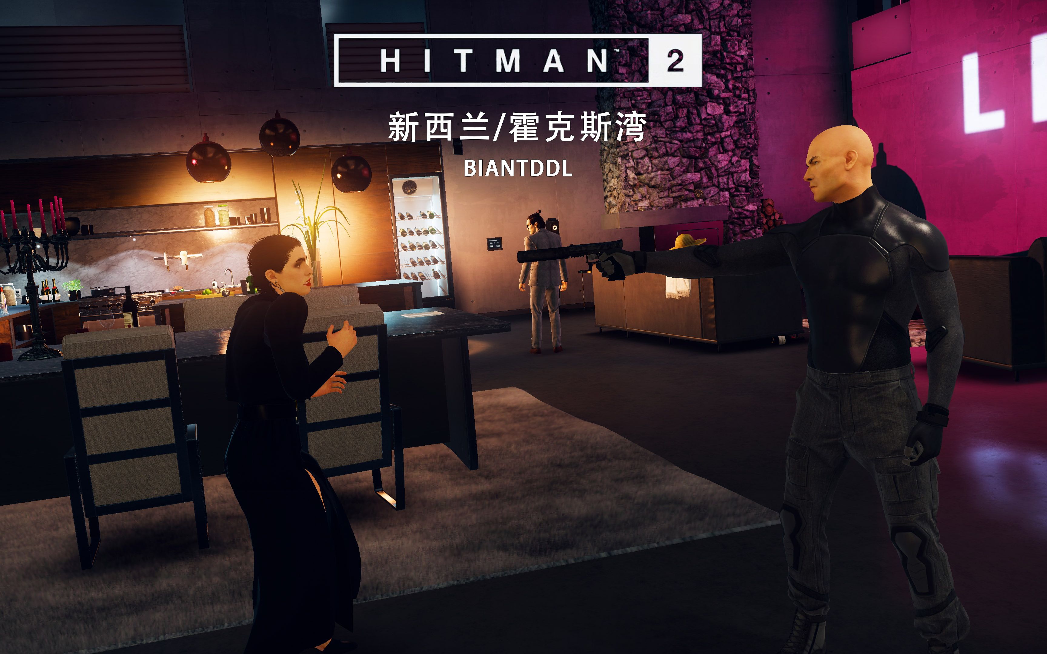 【霍克斯湾】夜之呼唤《hitman2/杀手2》游戏攻略解#a