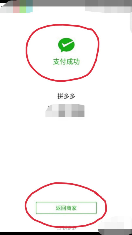 十一步,这里就显示支付成功,只需要返回商家就行了,拼单成功以后,系统