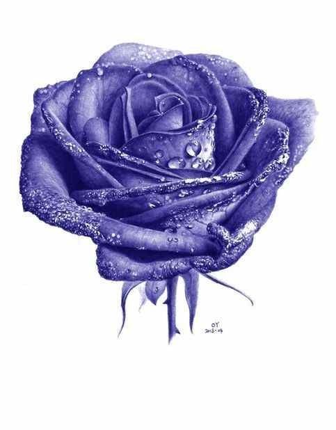 如何画一朵玫瑰花