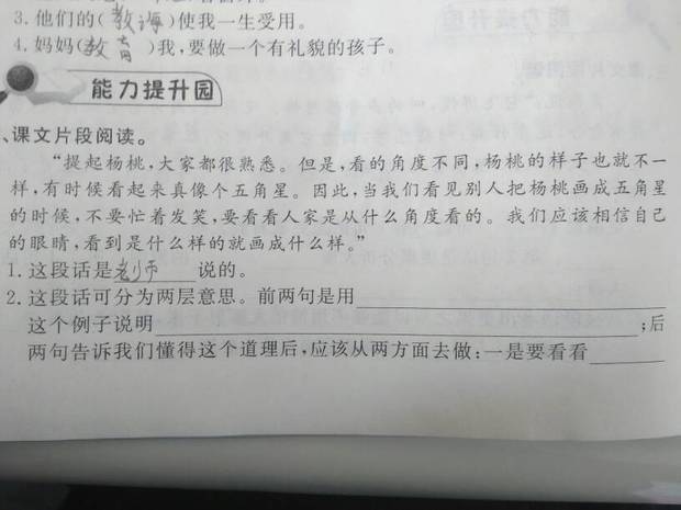 画杨桃课文提问