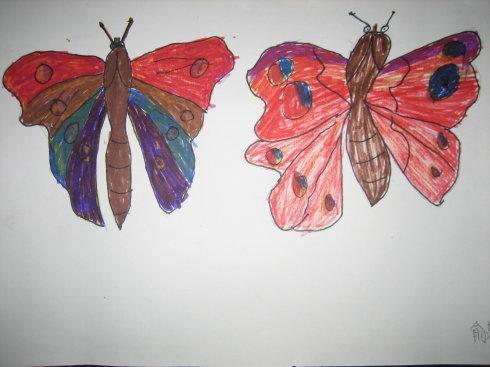 昆虫记里面的大孔雀蝶的主要内容是什么