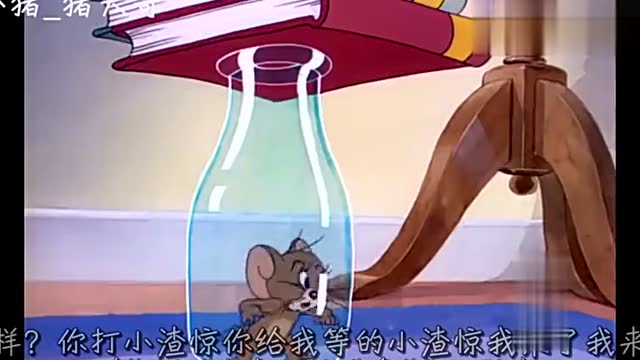 《猫和老鼠》云南方言配音!大洋芋和小咪渣