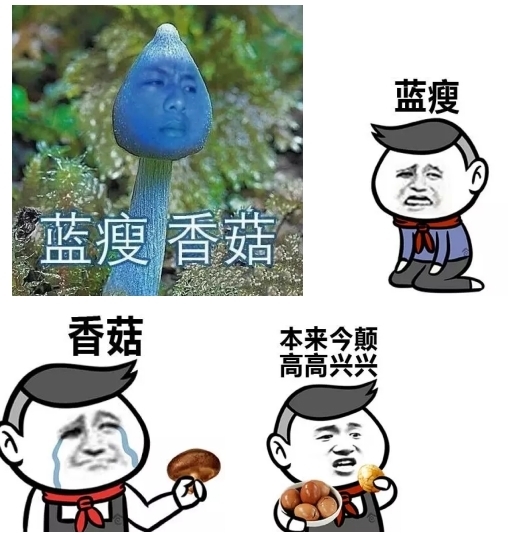 蓝瘦香菇是什么意思