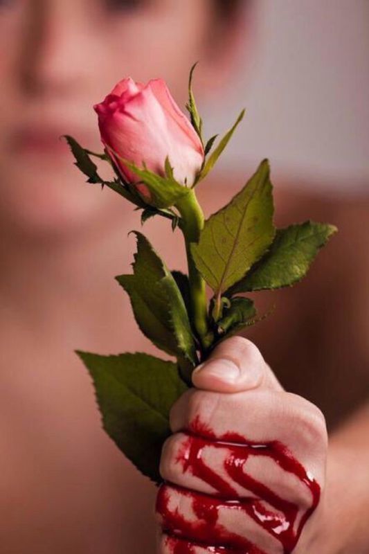 谁有那张(手握着玫瑰花却在滴血又不肯放手