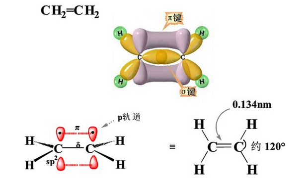 追答:碳原子和碳原子通过各自的一条sp2轨道,形成σ键,根据分子轨道